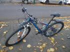 37 27 Gang 29 Zoll Gabel gefedert Öl Bremsen incl Scheibe Rh 43